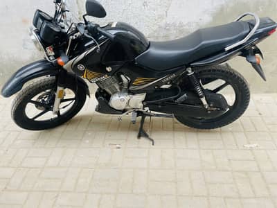 Yamaha YBR G