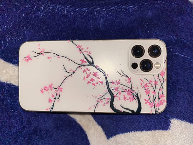 Apple iPhone 12 Pro 7
