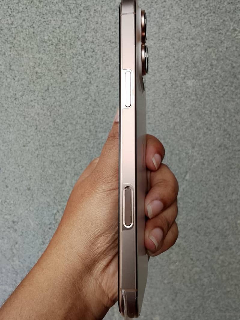 Apple iPhone 16 Pro Max 1