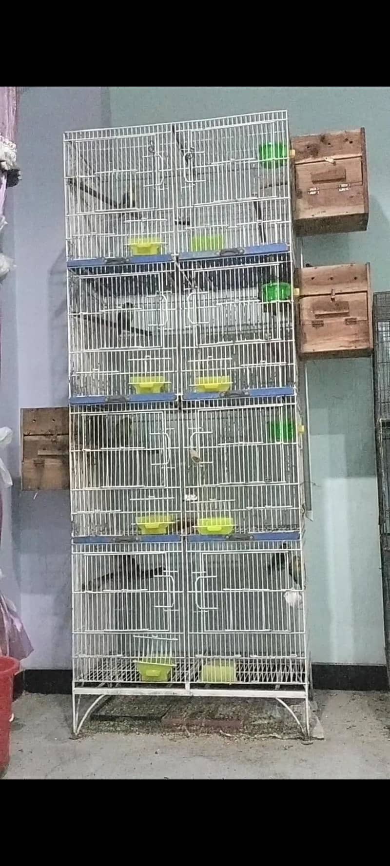 Cage. 0