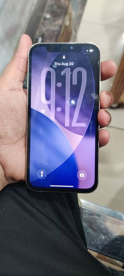 Apple iPhone 12 Pro