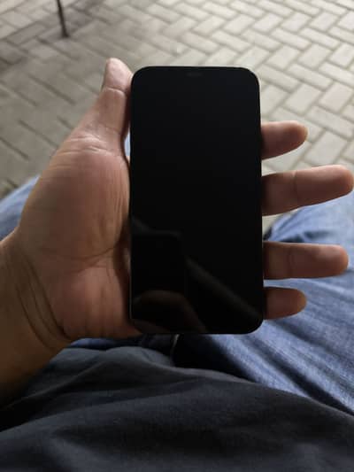 Apple iPhone 12
