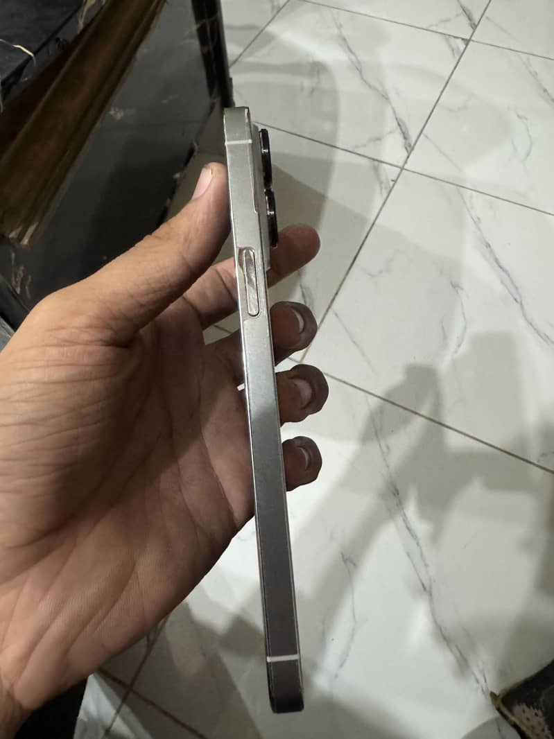 Apple iPhone 14 pro max 1