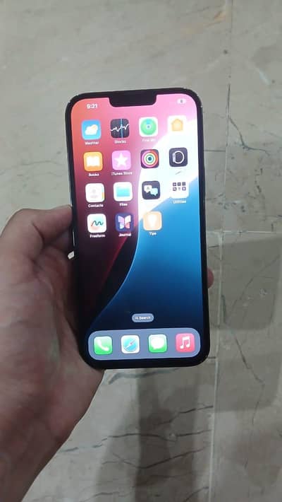 Apple iPhone 13 Pro Max