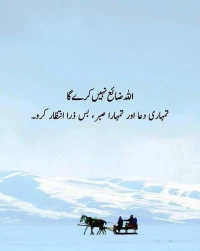 online Quran teacher Fatima خواتین اور بچوں کے لیے