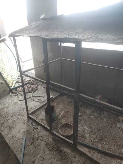 Parrot cage