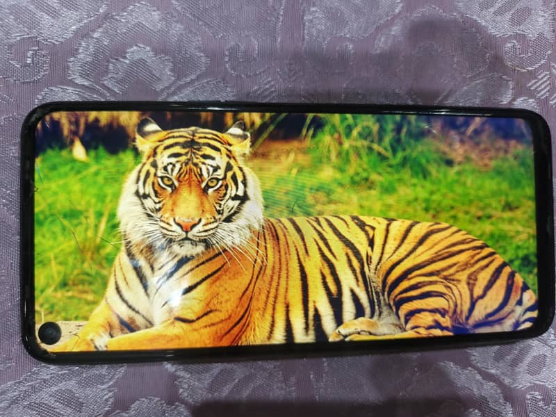 Tecno Camon 17 0