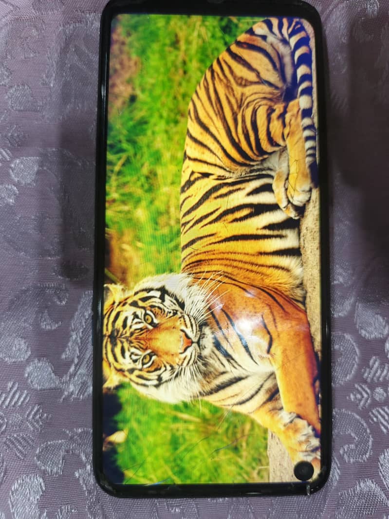 Tecno Camon 17 1
