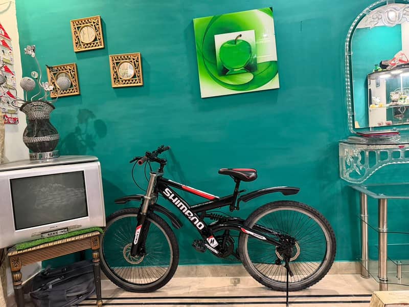 bicycle 2
