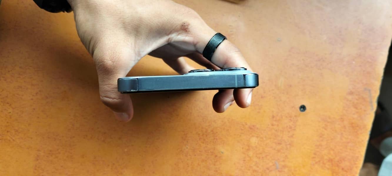Apple iPhone 13 Pro Max 0
