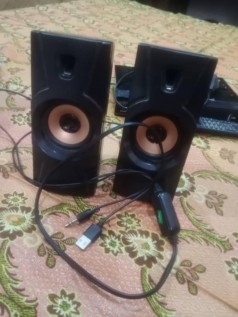 computer speaker 1