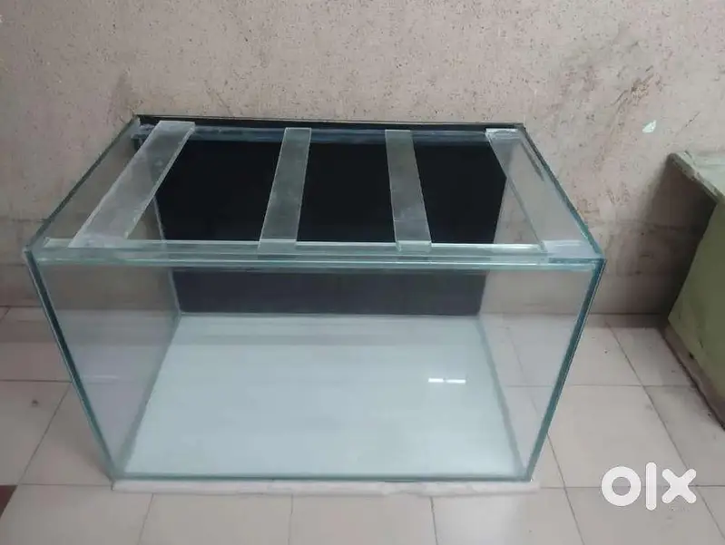 Aquarium — photo 2