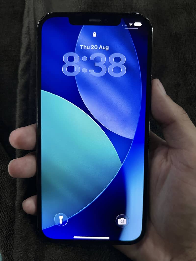 Apple iPhone 12 Pro Max 2