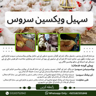 پولٹری ویکسینیشن سروس