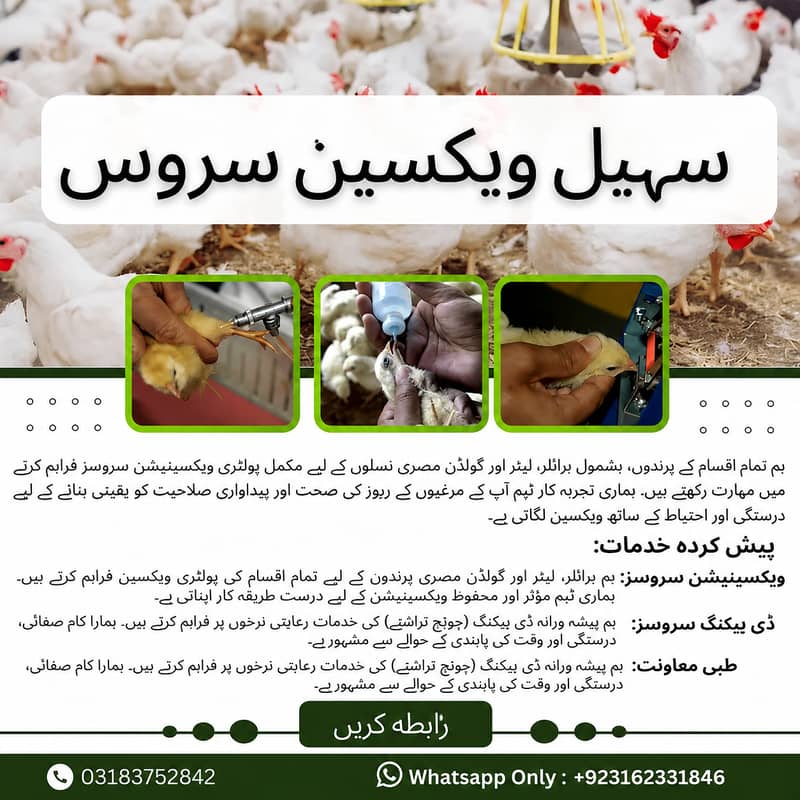 پولٹری ویکسینیشن سروس 0