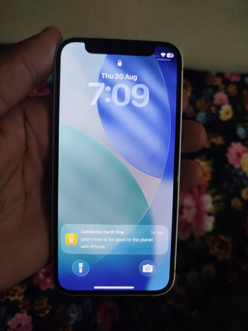 Apple iPhone 12 mini 0