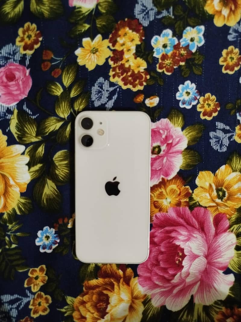 Apple iPhone 12 mini 1