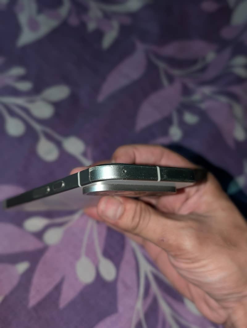 Google Pixel 9 Mint Condition 4