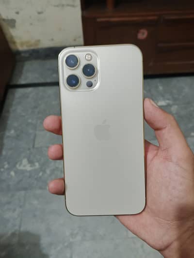Apple iPhone 12 Pro Max