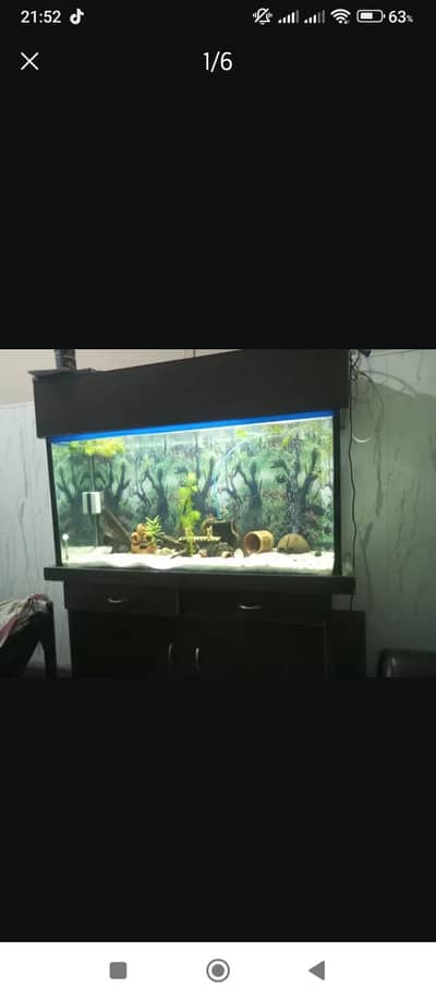 Big Aquarium for sale