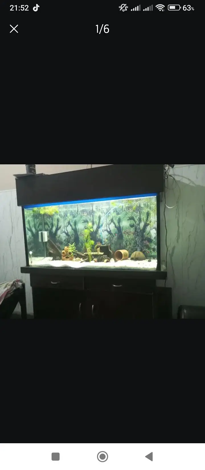 Big Aquarium for sale
