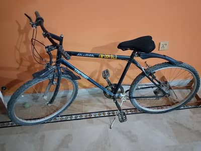 Bicycle for sale