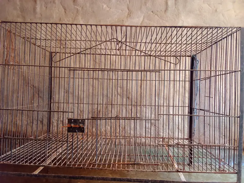 for sale cage — photo 2