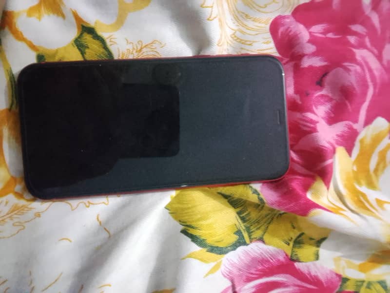 Apple iPhone 11 1