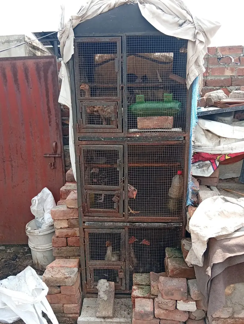 matal cage 03271768110 — photo 2
