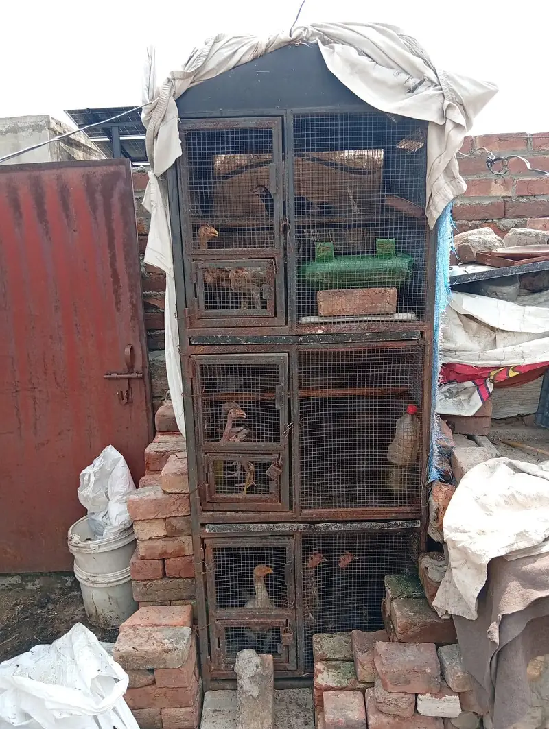 matal cage 03271768110 — photo 3