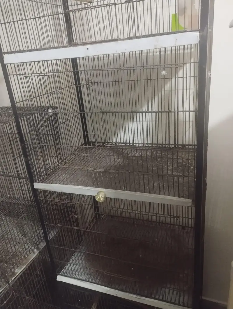 4 Portion Cage