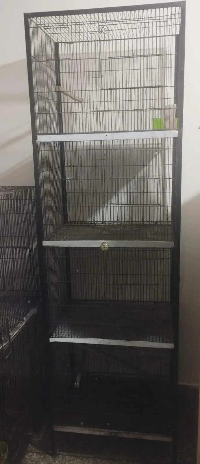 4 Portion Cage — photo 2