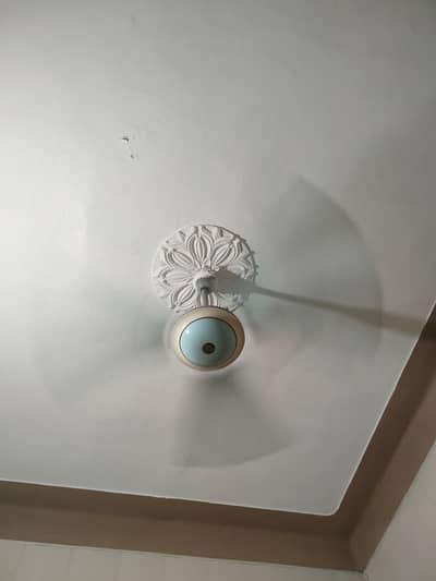 Ceiling Fan for Sale | 56 Inch Copper Motor Fan | Good Condition