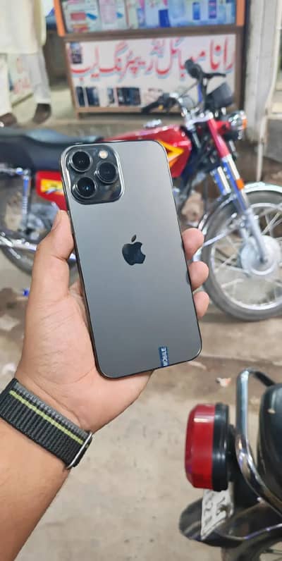 Apple iPhone 13 Pro Max bypass 77 halt