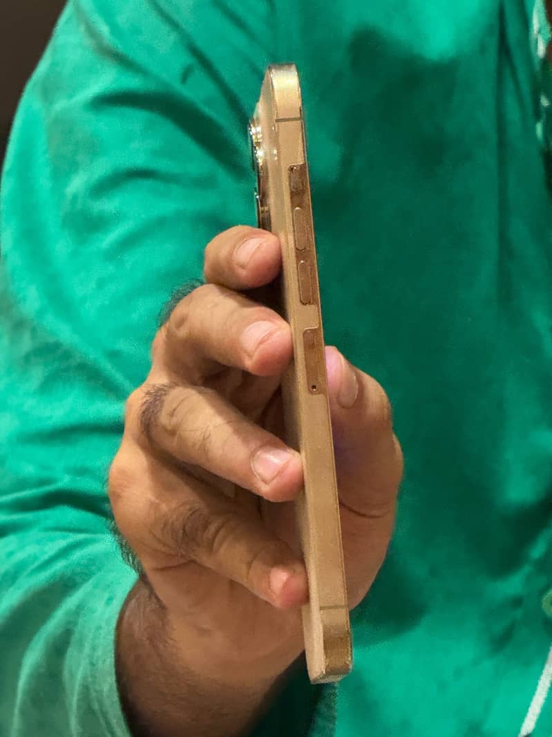 Apple iPhone 13 Pro Max 1
