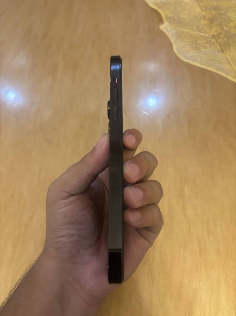 14 PRO MAX FU 2
