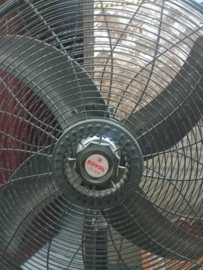 Royal Fan Full Size Brand New Fan Energy saving