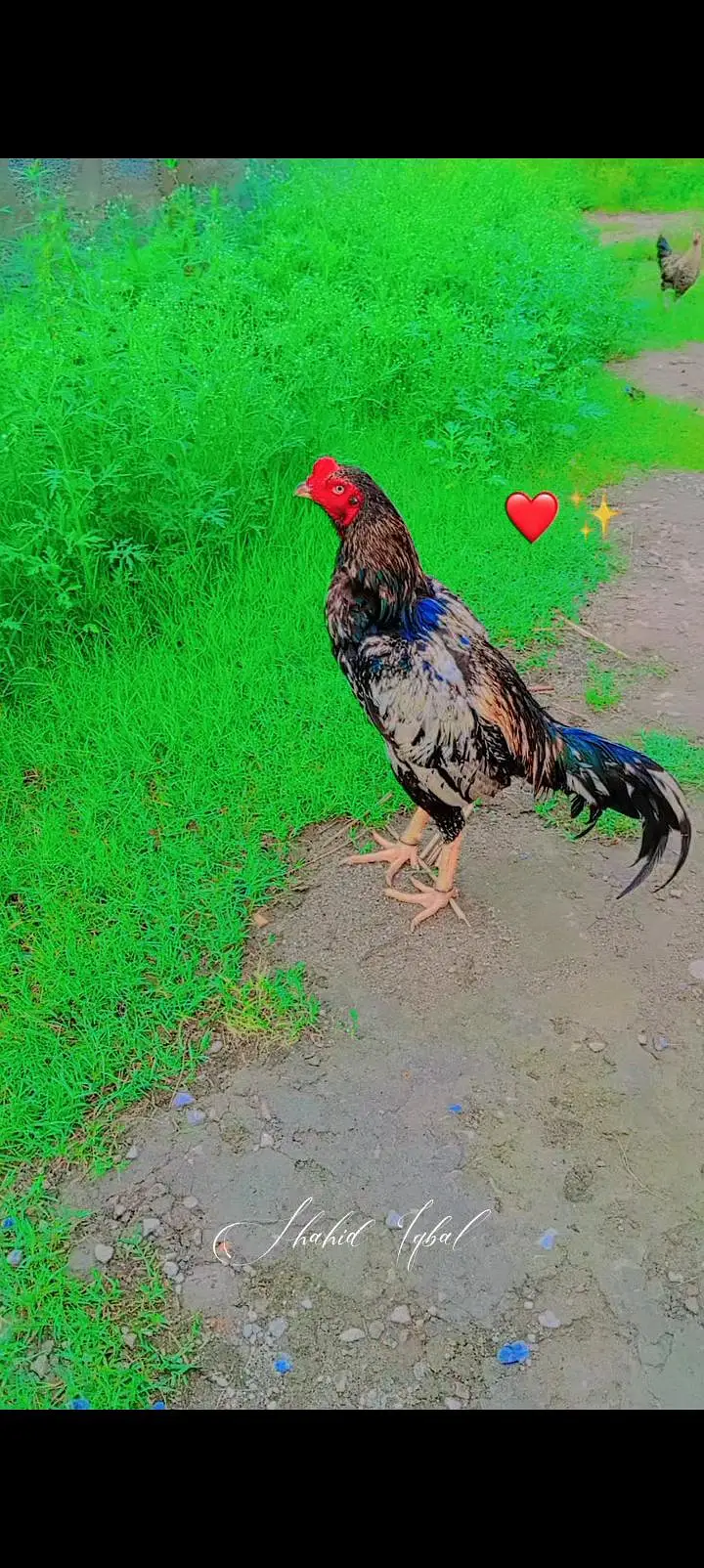 bhoot achay pathay hay donou sirf shok karna wala he rabta kray — photo 2