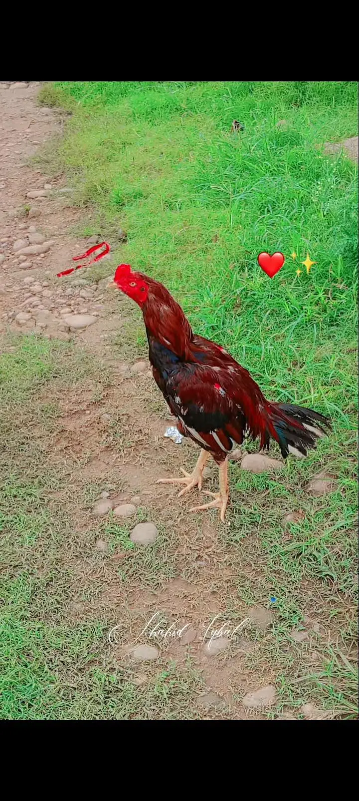 bhoot achay pathay hay donou sirf shok karna wala he rabta kray — photo 3