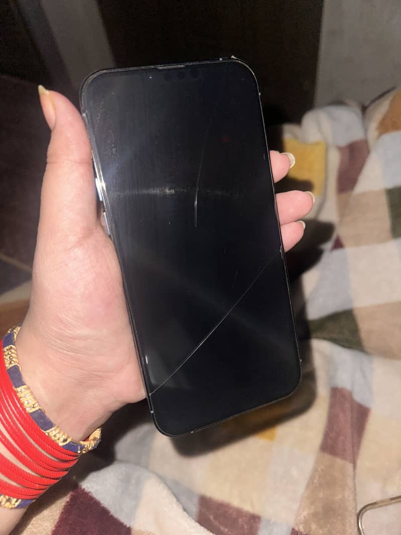 Apple iPhone 13 Pro Max 1