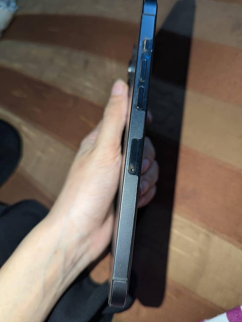 Apple iPhone 12 Pro Max 1