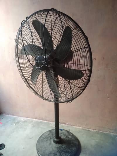 Pedestal fan