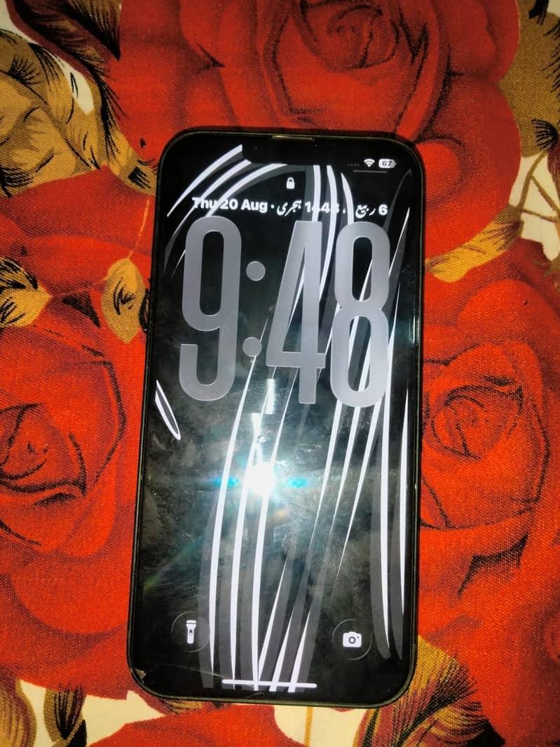 Apple iPhone 13 0