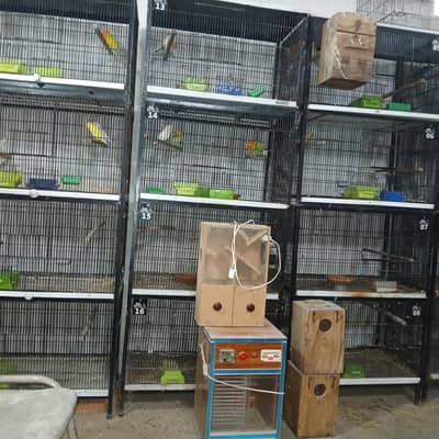 iron cage | Hens cage | birds cage | Pinjra | 4 portion cage for sale