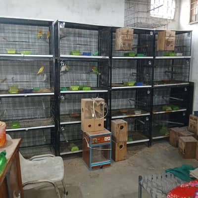 iron cage | birds cage |4 portion cage for sale| complete setup cell