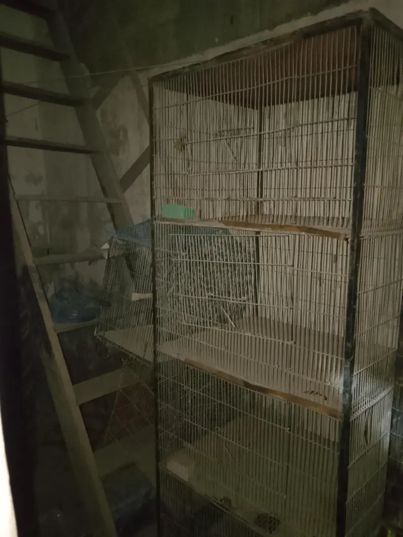 for sale. birds cage , large size for parrots condition are good — photo 2