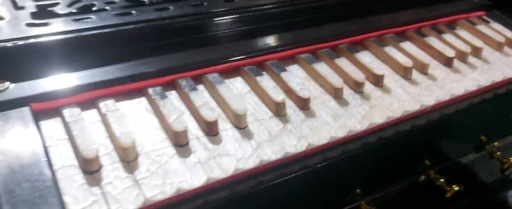 German  Harmonium Antique 3-Line new stock