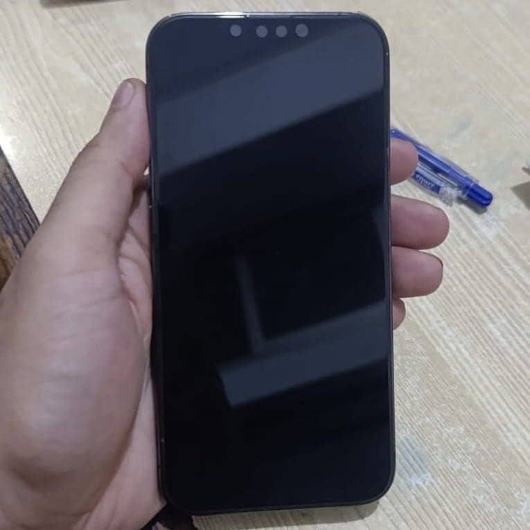 Apple iPhone 13 Pro 0
