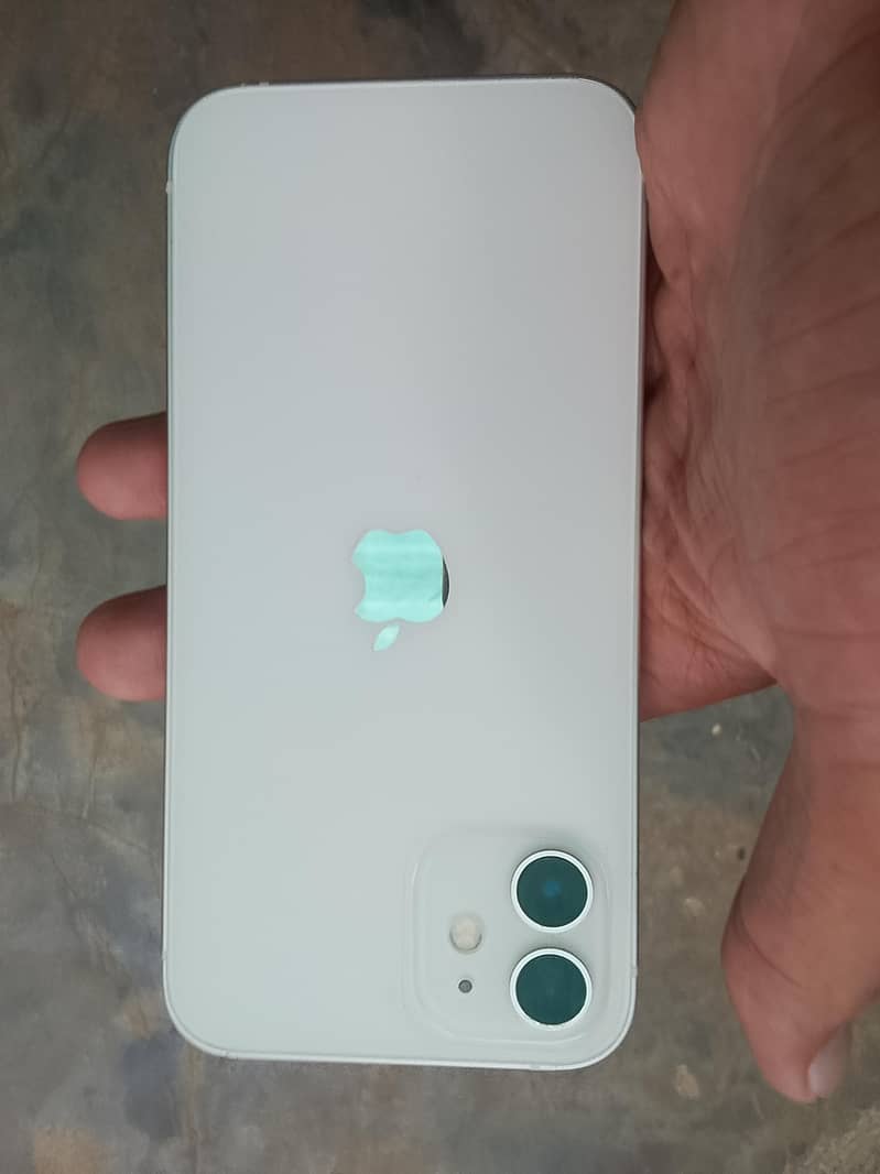 Apple iPhone 12 1
