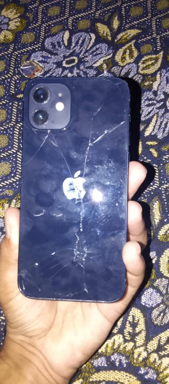 Apple iPhone 12 1